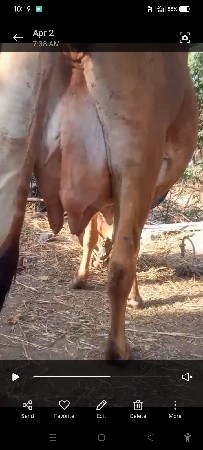 થંબનેલ 3