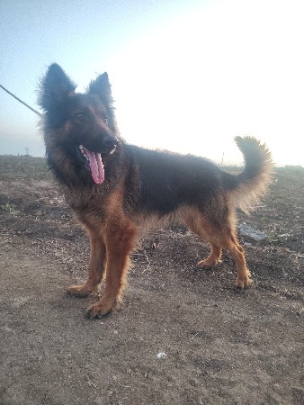 थंबनेल 2