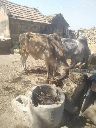 थंबनेल 3