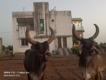 थंबनेल 3