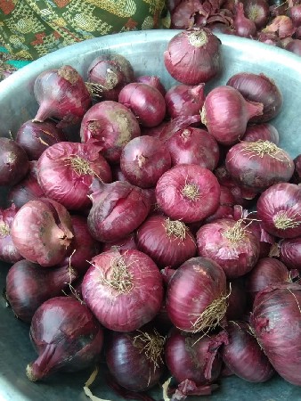 ડુંગળી વેચવાની છે