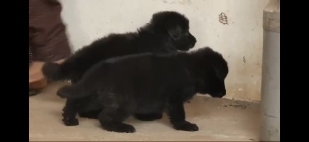 थंबनेल 3