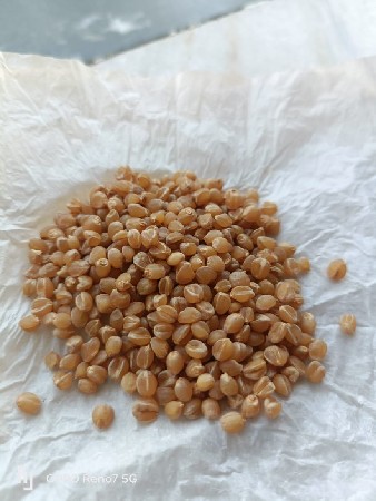 ઘવ વેચવાના છે બીયારણ મા