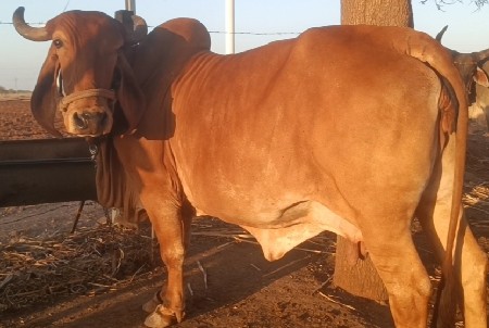 थंबनेल 2