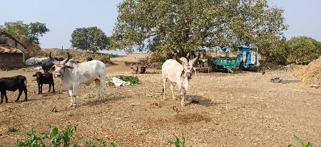 વેચવાના છે