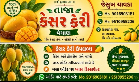 કેસર કેરી