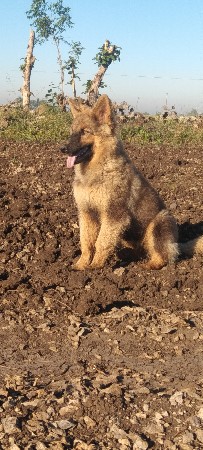 थंबनेल 3