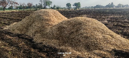 B2 ચણાનુ ખારીયુ