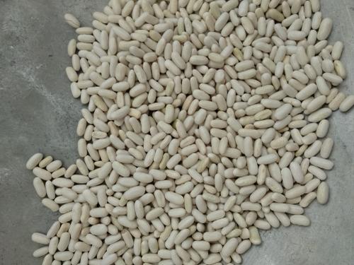 કેપ્સ્યુલ વાલ (French Beans) છે.