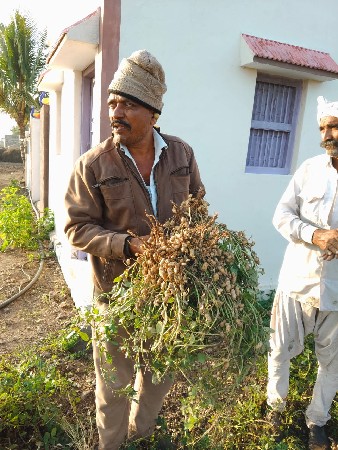 ગીરનાર 4 માંડવી