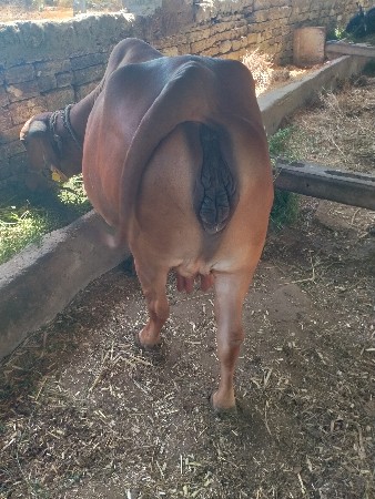 थंबनेल 2