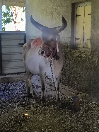 थंबनेल 2