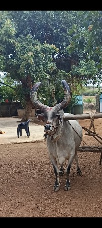 थंबनेल 3