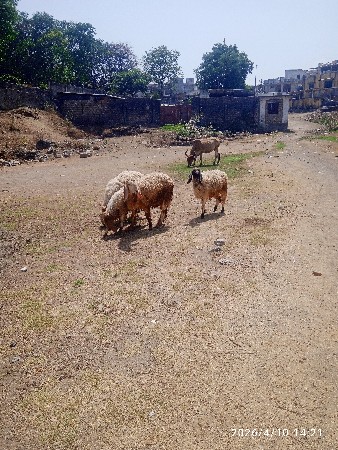 थंबनेल 3