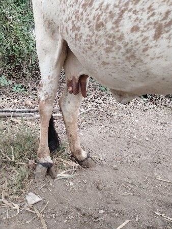 थंबनेल 2