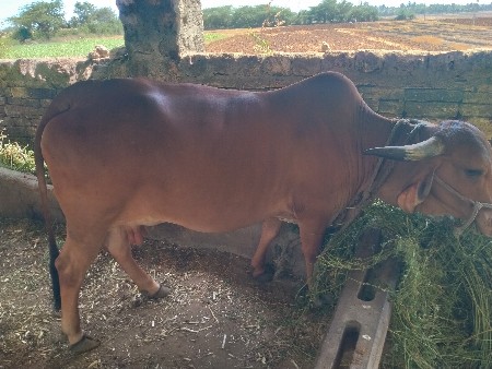 थंबनेल 3