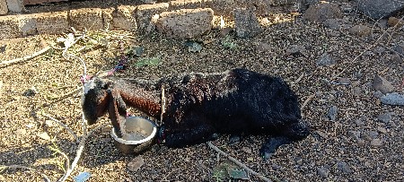 थंबनेल 2