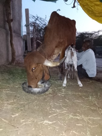 थंबनेल 2