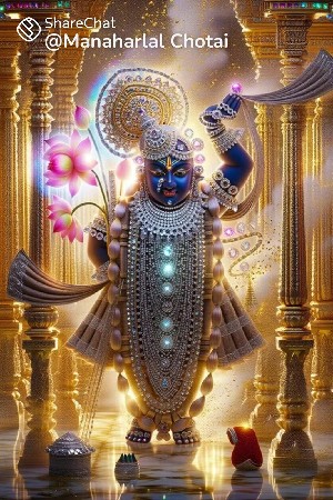 વિયાલ ભેંસ વેચવાની છે