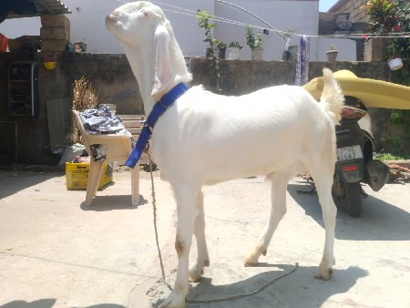 थंबनेल 2