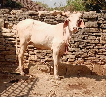 थंबनेल 2