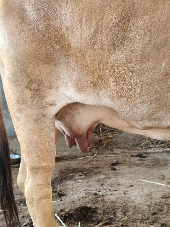 थंबनेल 3