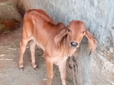 थंबनेल 3