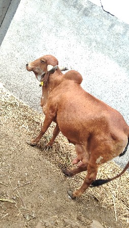 थंबनेल 3