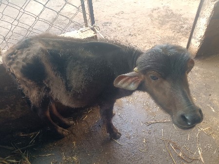 थंबनेल 3