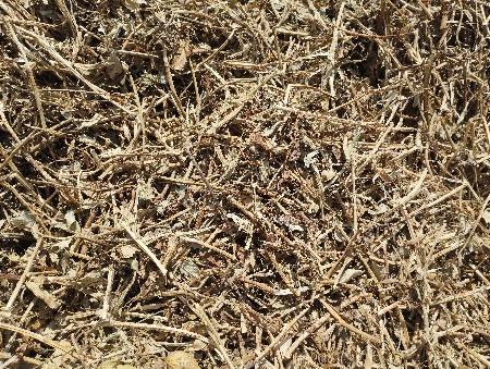 વેચવાનું છે