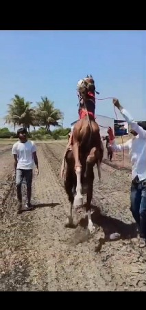 थंबनेल 3