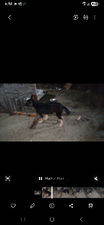 थंबनेल 2