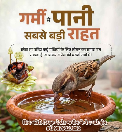 *શિવ લહેરી રિયલ એસ્ટેટ