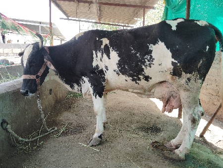 थंबनेल 3