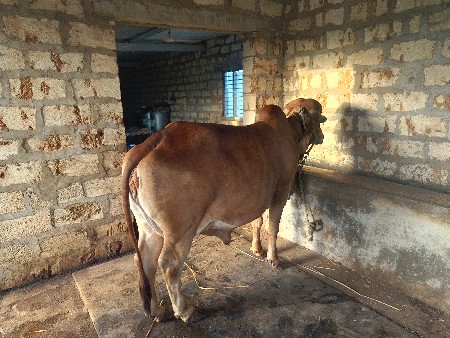 थंबनेल 2