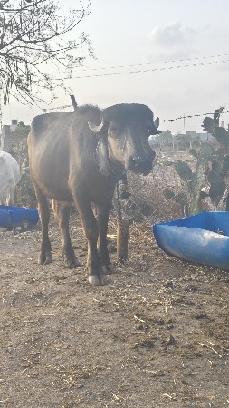 थंबनेल 3