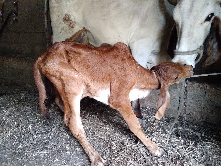 થંબનેલ 2