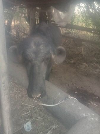 थंबनेल 3