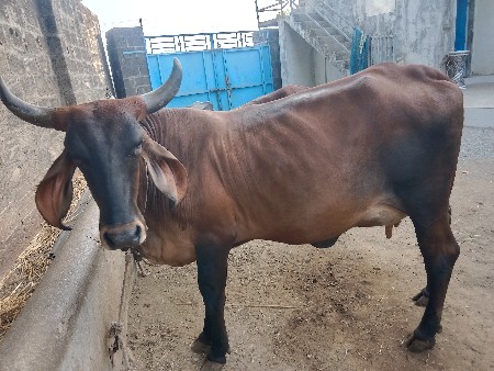 थंबनेल 3