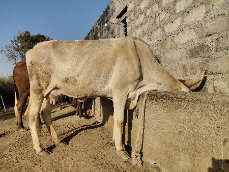 थंबनेल 2