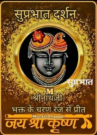 મોટર વેચવાની છે