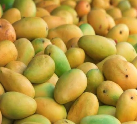 કેશર કેરી