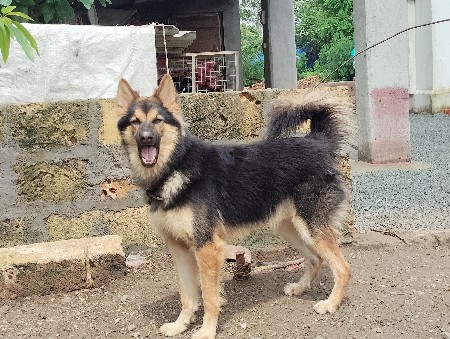 थंबनेल 3