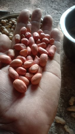 थंबनेल 2