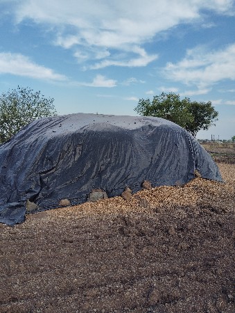 જી 20 માંડવી ભોકો