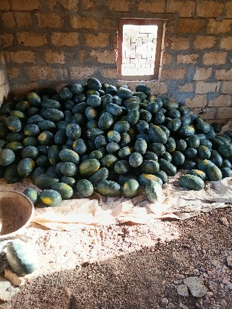 આ કચરી દેવાની છે