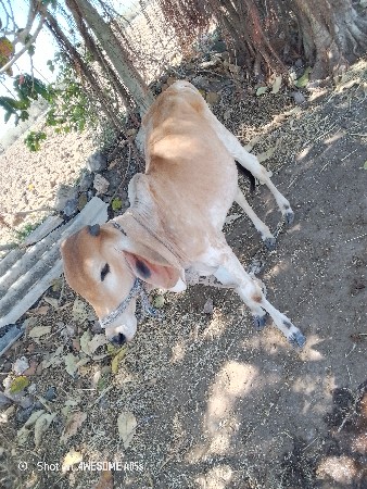 थंबनेल 2