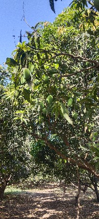 थंबनेल 3