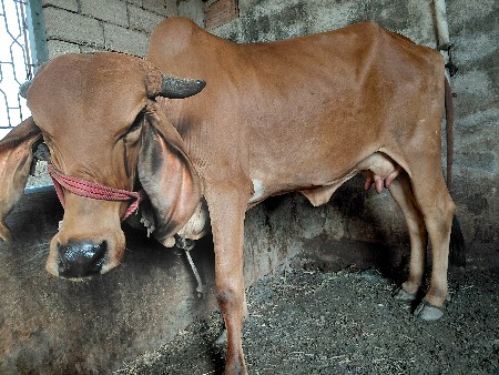 थंबनेल 3