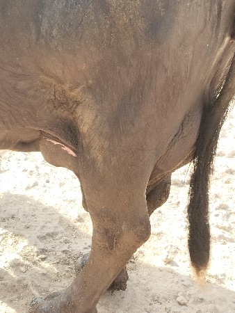 થંબનેલ 3